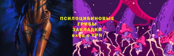 амф Алзамай