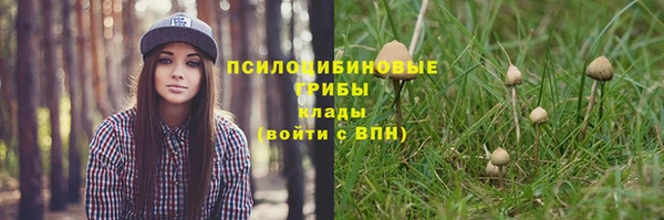 дживик Вязьма